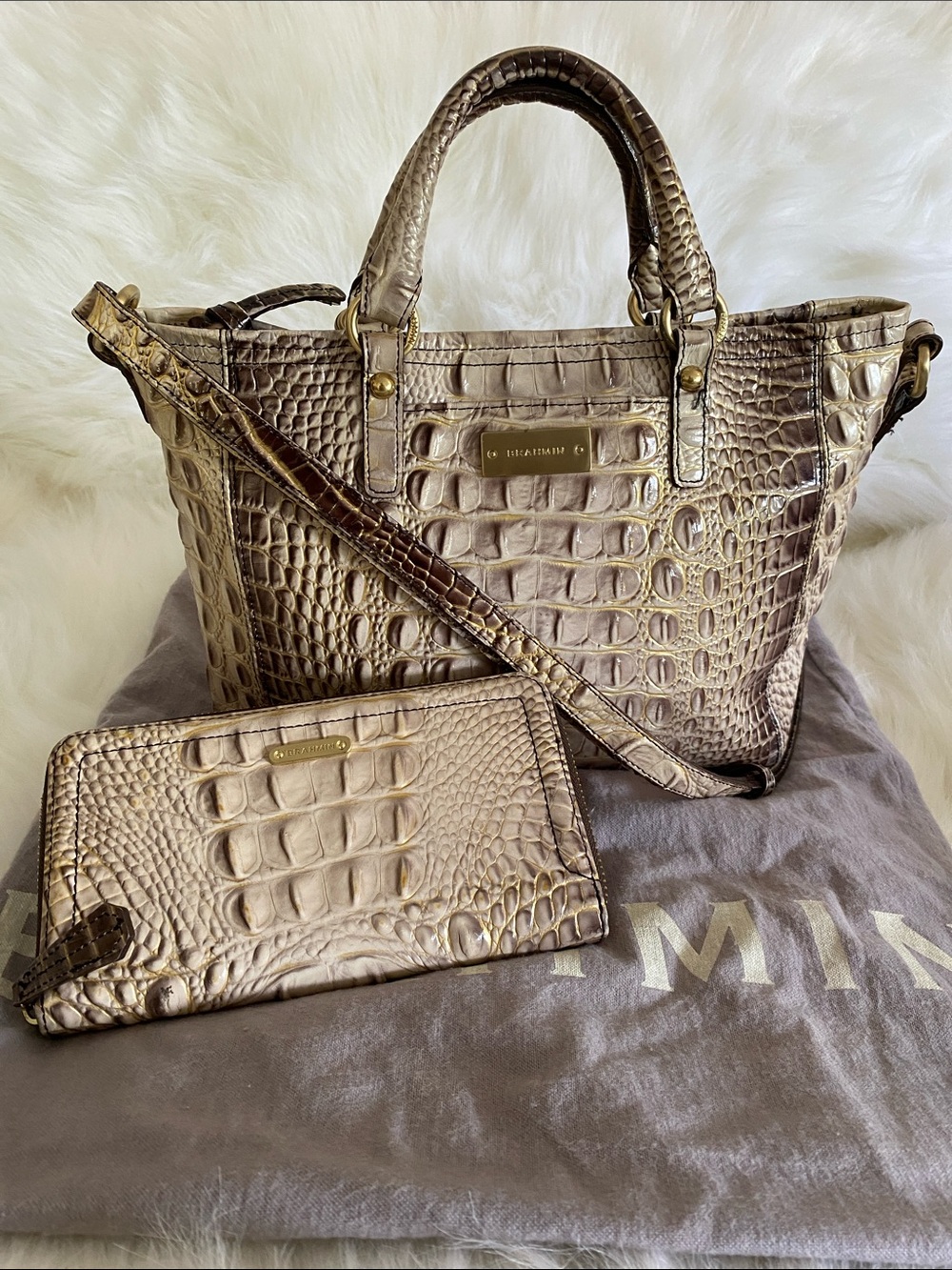 Brahmin Mini Arno Croc Embossed Melbourne in Shimmering Champagne w/ Wallet